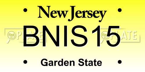 BNIS15 New Jersey License Plate