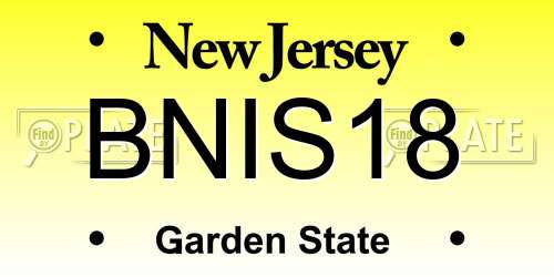 BNIS18 New Jersey License Plate