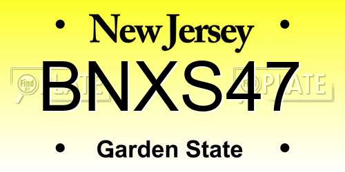 BNXS47 New Jersey License Plate