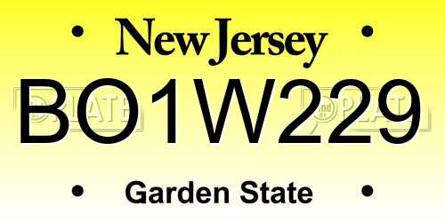 BO1W229 New Jersey License Plate