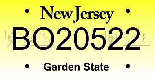 BO20522 New Jersey License Plate