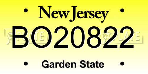 BO20822 New Jersey License Plate