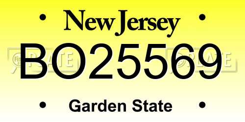 BO25569 New Jersey License Plate