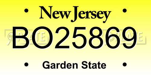 BO25869 New Jersey License Plate
