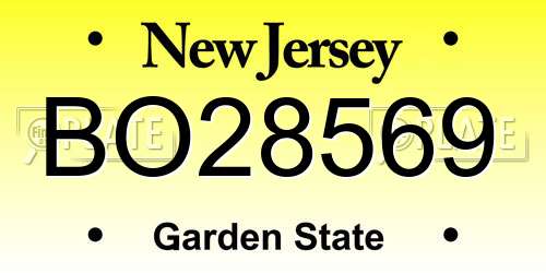 BO28569 New Jersey License Plate