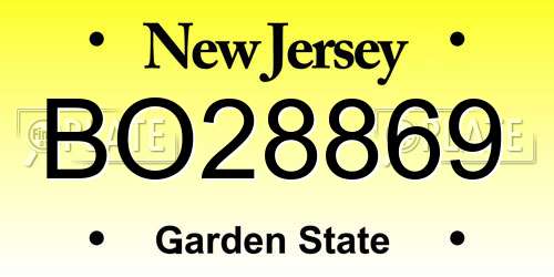 BO28869 New Jersey License Plate