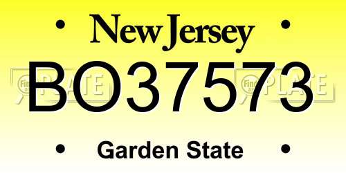 BO37573 New Jersey License Plate