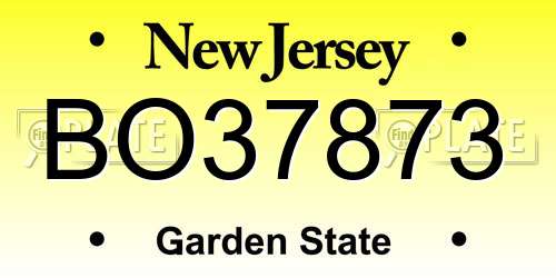 BO37873 New Jersey License Plate