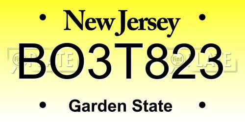 BO3T823 New Jersey License Plate