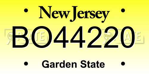 BO44220 New Jersey License Plate