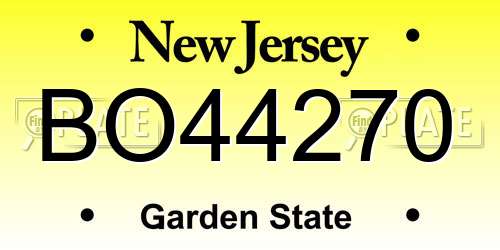 BO44270 New Jersey License Plate