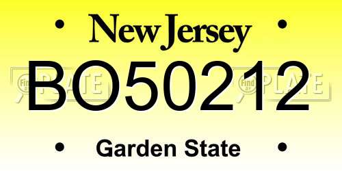BO50212 New Jersey License Plate