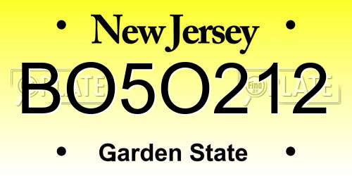 BO5O212 New Jersey License Plate
