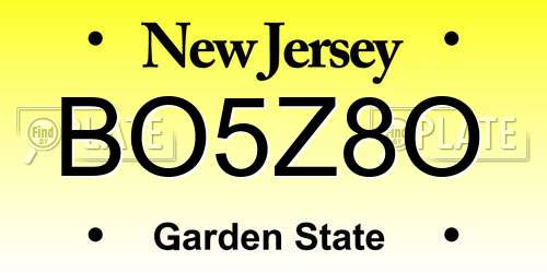 BO5Z8O New Jersey License Plate