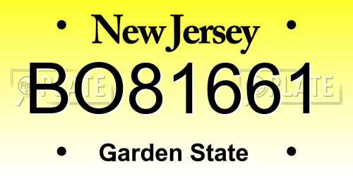 BO81661 New Jersey License Plate