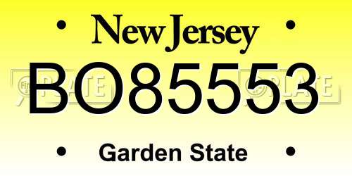 BO85553 New Jersey License Plate