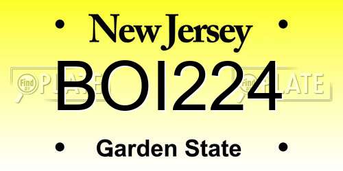 BOI224 New Jersey License Plate