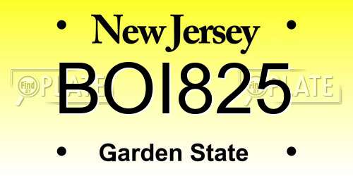 BOI825 New Jersey License Plate