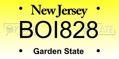 BOI828 New Jersey License Plate