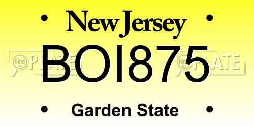 BOI875 New Jersey License Plate