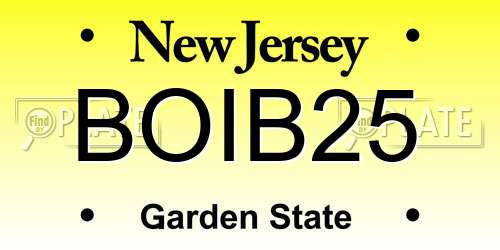 BOIB25 New Jersey License Plate