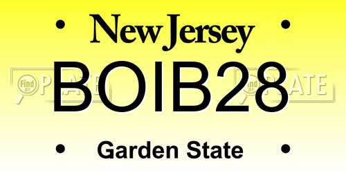 BOIB28 New Jersey License Plate