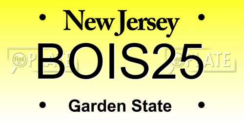 BOIS25 New Jersey License Plate