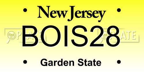 BOIS28 New Jersey License Plate
