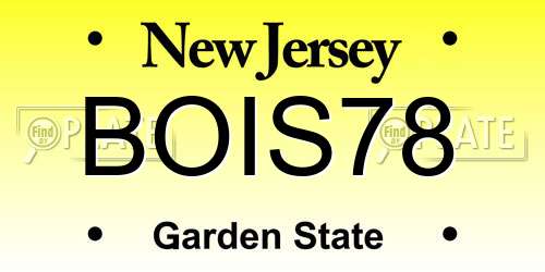 BOIS78 New Jersey License Plate