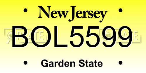 BOL5599 New Jersey License Plate