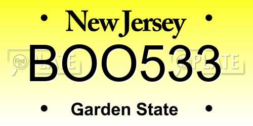 BOO533 New Jersey License Plate