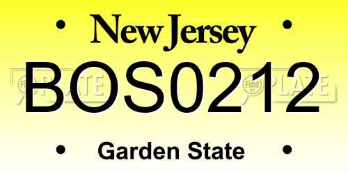 BOS0212 New Jersey License Plate