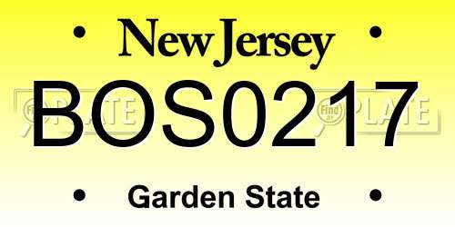 BOS0217 New Jersey License Plate