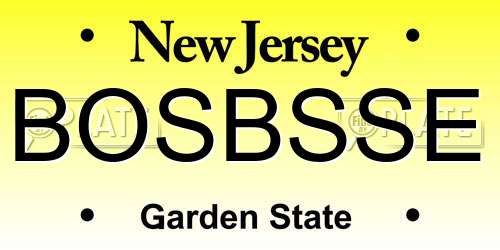 BOSBSSE New Jersey License Plate