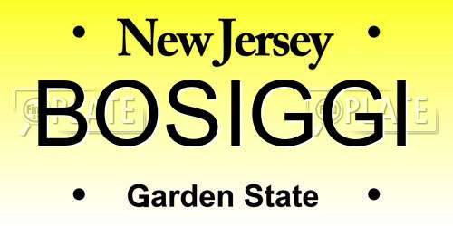 BOSIGGI New Jersey License Plate