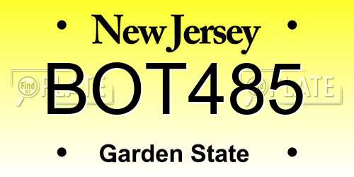 BOT485 New Jersey License Plate