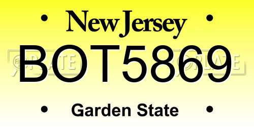 BOT5869 New Jersey License Plate