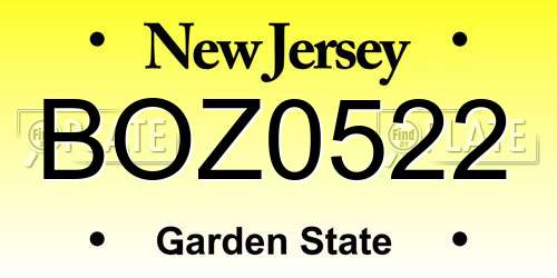 BOZ0522 New Jersey License Plate