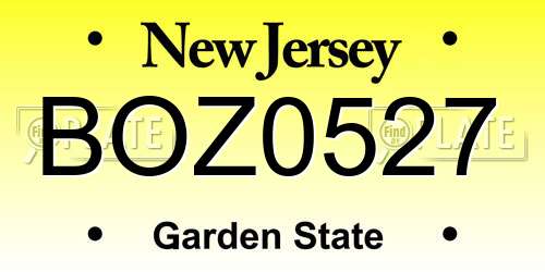 BOZ0527 New Jersey License Plate