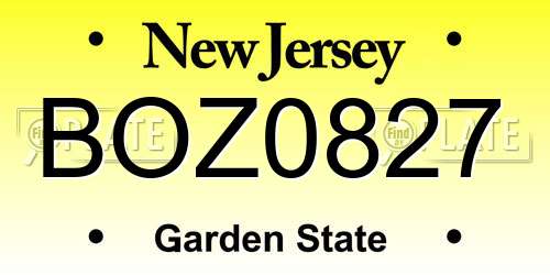 BOZ0827 New Jersey License Plate