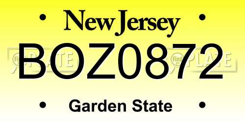 BOZ0872 New Jersey License Plate