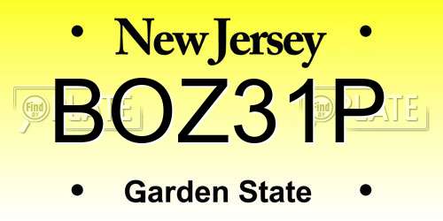 BOZ31P New Jersey License Plate