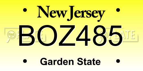 BOZ485 New Jersey License Plate