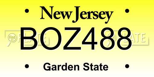 BOZ488 New Jersey License Plate