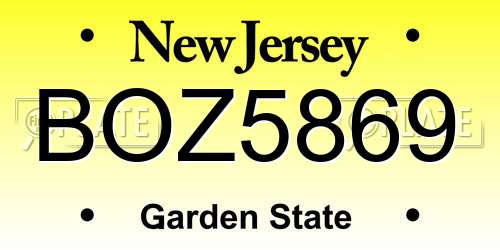 BOZ5869 New Jersey License Plate