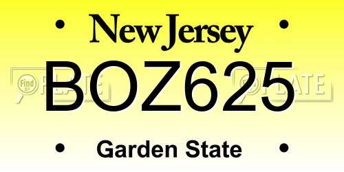 BOZ625 New Jersey License Plate