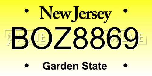 BOZ8869 New Jersey License Plate