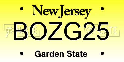 BOZG25 New Jersey License Plate