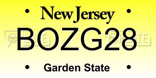 BOZG28 New Jersey License Plate