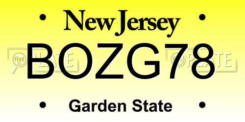 BOZG78 New Jersey License Plate